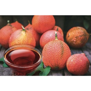 TINH DẦU GẤC HANDMADE NHÀ BỘT