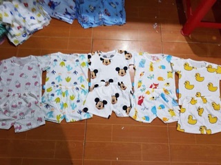 Combo 3 bộ, 6 bộ cotton giấy cộc