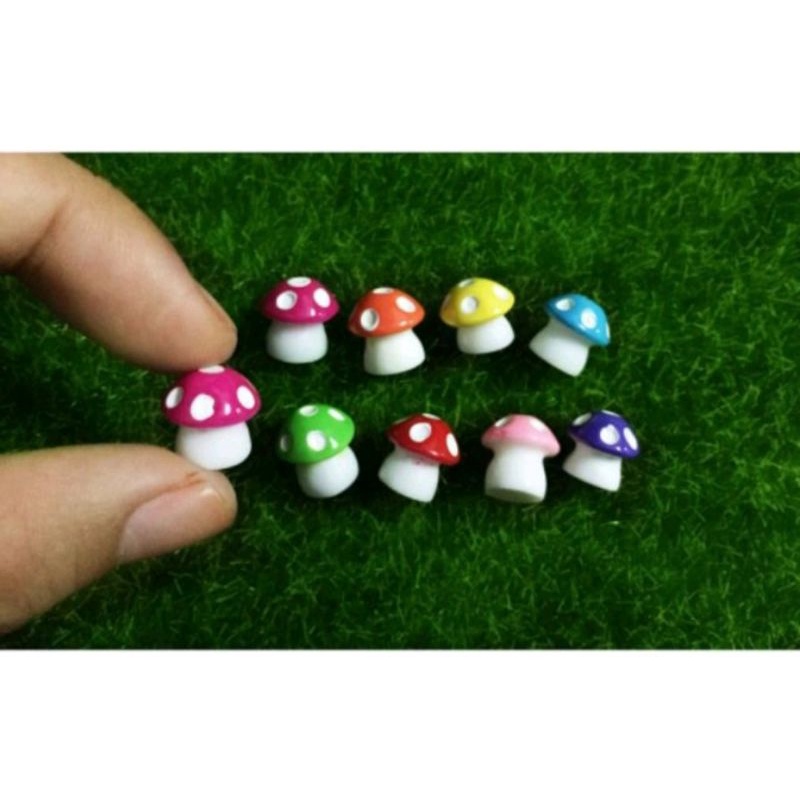 Nấm mini 1cm trắng trí tiểu cảnh Terrarium.