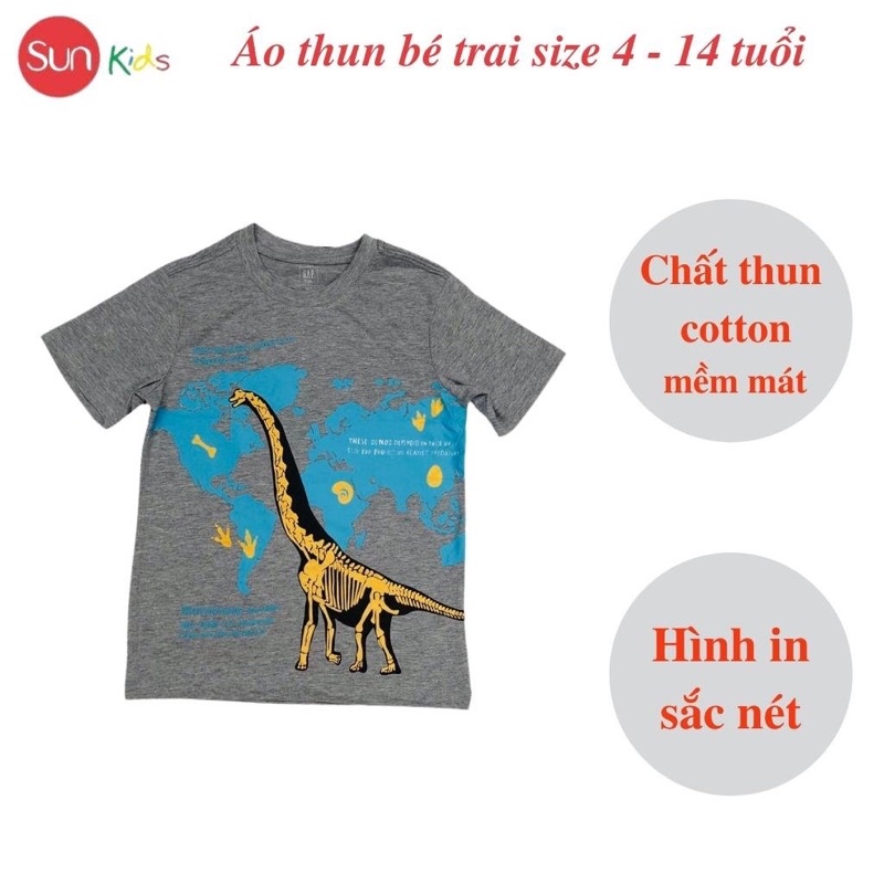 Áo thun bé trai, áo phông cho bé trai chất cotton nhiều màu, size 4-14 tuổi - SUNKIDS1