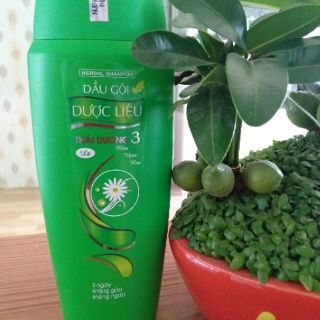 Dầu gội Thái Dương 3