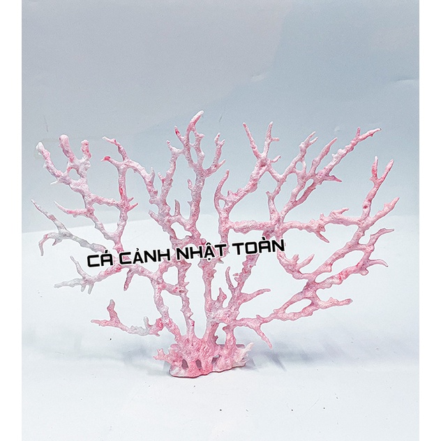 BỤI SAN HÔ GIẢ TRANG TRÍ BỀ CÁ 22X34CM