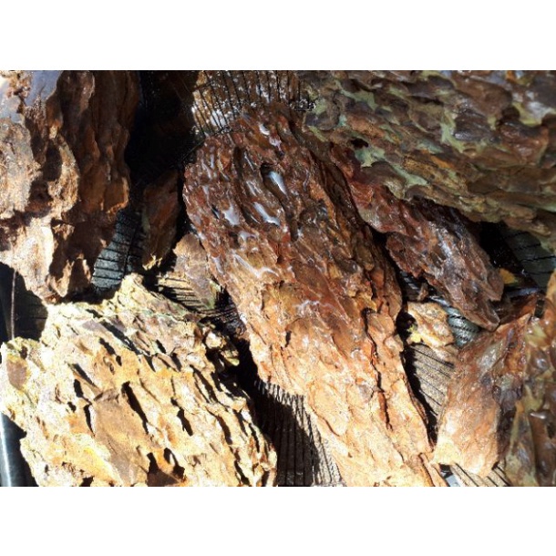 5kg đá tiger Đá trang trí bể cá