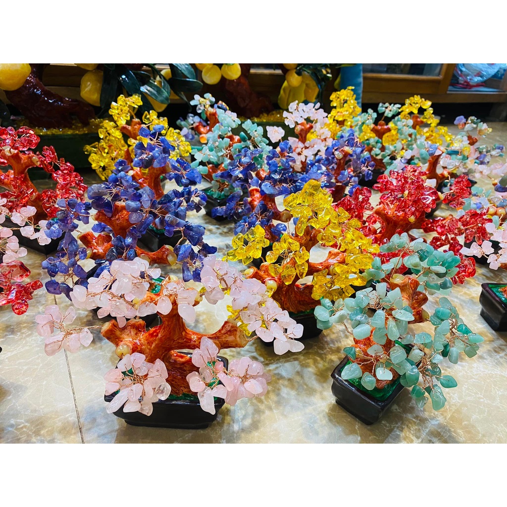 💥 GIÁ CỰC RẺ 💥 Cây đá phong thuỷ Ngũ Sắc