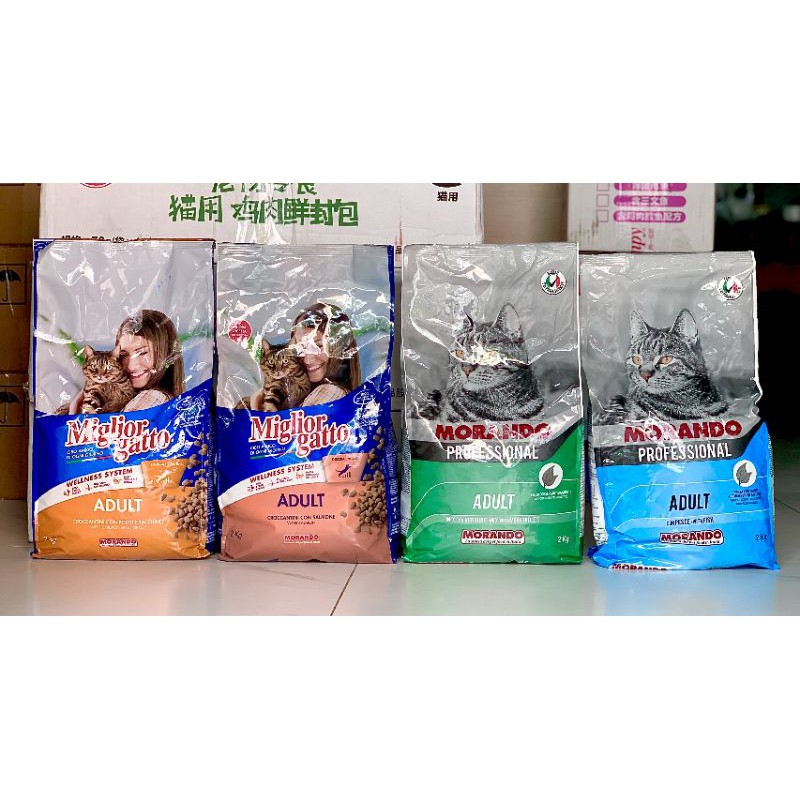 2kg hạt morando miglior gatto thức ăn mèo tặng pate