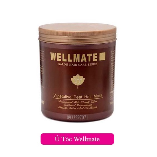 [500 - 1000ML] Ủ TÓC WELLMATE Ý