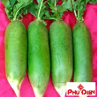 gói 5gr hạt giống củ cải đường (củ cải xanh)  PHÚ ĐIỀN