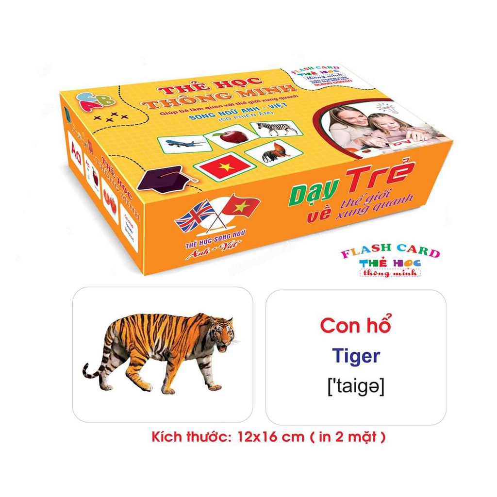 Thẻ Học Thông Minh - Bộ Thẻ Học FlashCard Thông Minh Loại Lớn Cho Bé