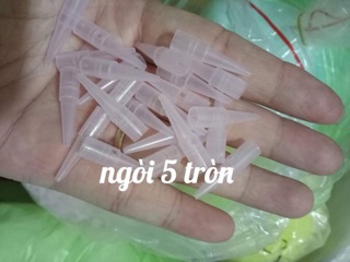 50 Ngòi máy GIANTSUN Tím Vàng Phun Xăm