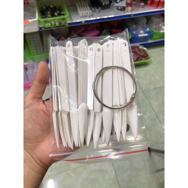 Móng que tập sơn vẽ trưng bày mẫu khách