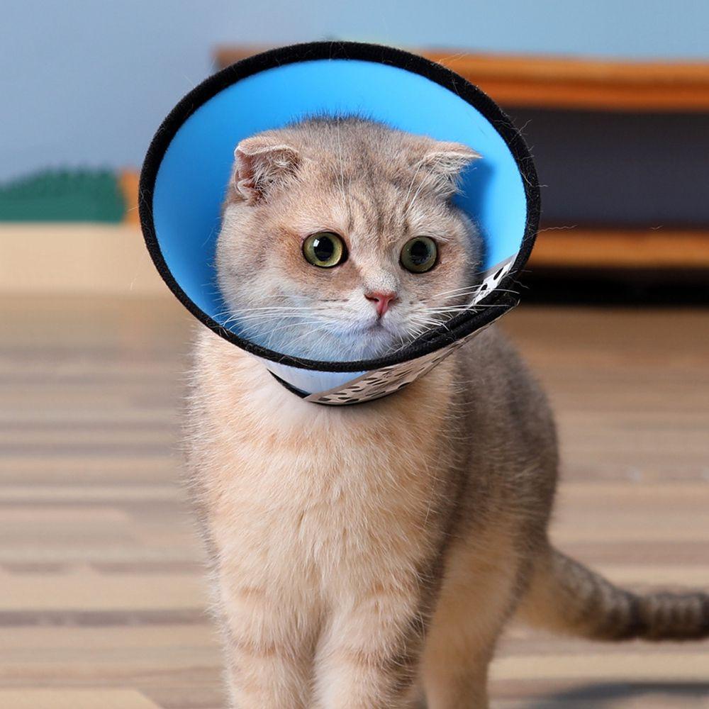 DARON Vòng Đeo Cổ Bảo Vệ Chống Cào Xước Dành Cho Thú Cưng