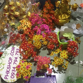 Combo nguyên liệu cây kim tiền tài lộc phk shop