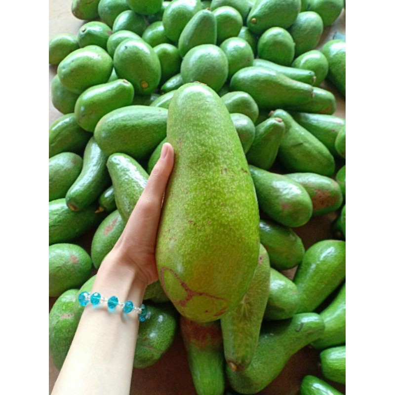 Bơ organic chuẩn sạch | BigBuy360 - bigbuy360.vn