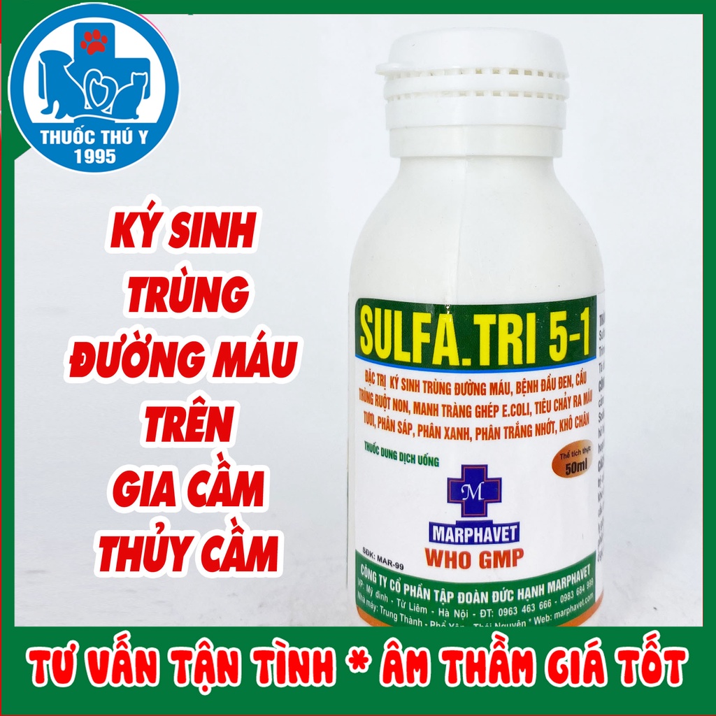 SULFA.TRI 5-1 50ml MARPHAVET phòng bệnh đường ruột trên gà, vit, ngan, chó, mèo, thú cảnh, chim cảnh
