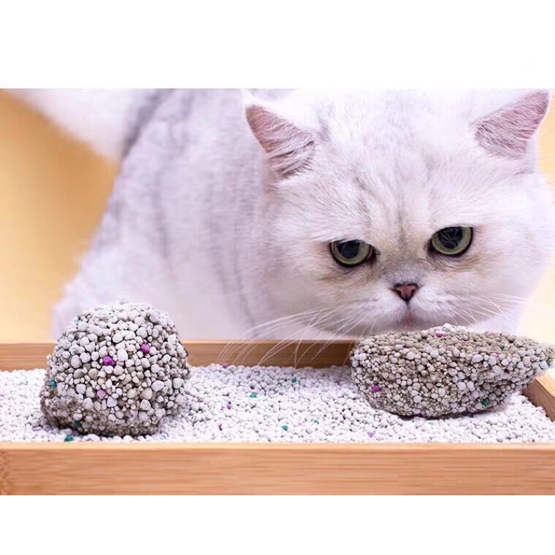 Cát Nhật đen 8L, cát vệ sinh dành cho mèo, vón tốt khử mùi cao, cát Nhật Moon Cat 8L - Kitty Pet Shop BMT