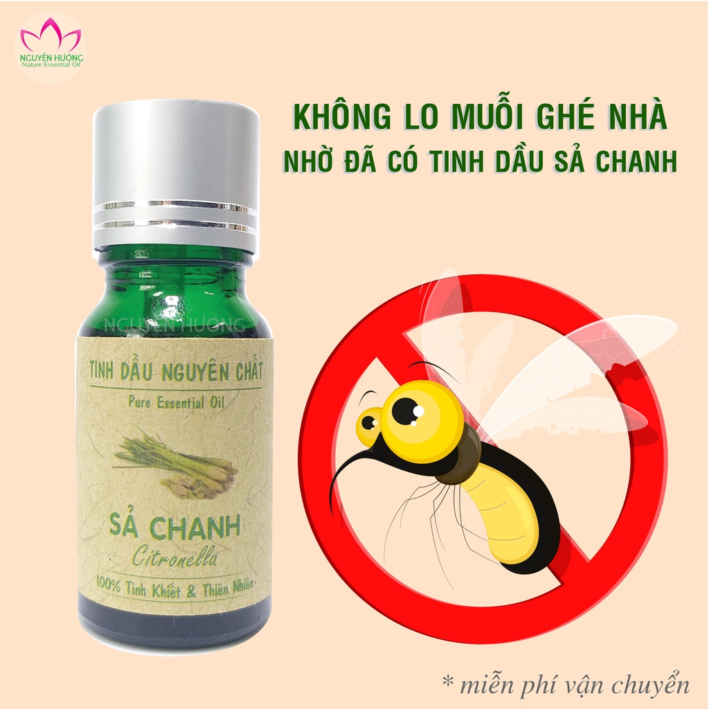 Tinh Dầu Sả Chanh (Lemongrass) – 100% nguyên chất ( Treo xe, Xông thơm phòng ) | Thế Giới Skin Care