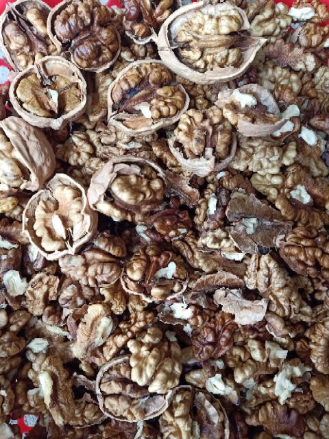 1KG HẠT ÓC CHÓ RANG CHÍN | BigBuy360 - bigbuy360.vn