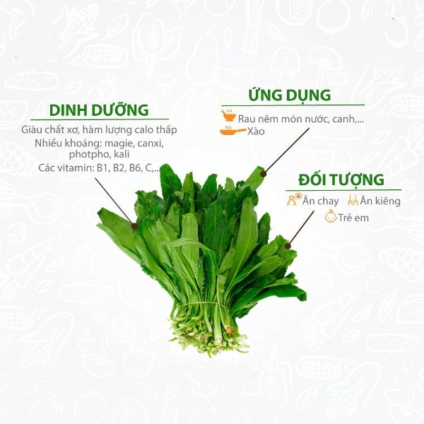 Hạt giống rau ngò gai (mùi tàu) - rau củ quả trồng chậu, sân vườn ban công ngon giòn ngọt nảy mầm cao 10g RADO76