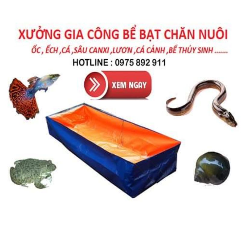 Bể bạt nuôi ốc ếch cá dưỡng cá cảnh - loại 4x2x0,5