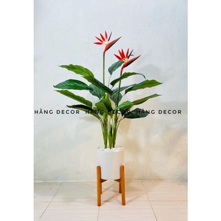 Cây thiên điểu 1m - cây giả decor
