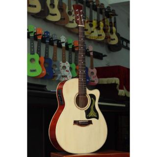Guitar TNT —đã lắp  EQ7545