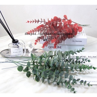Lá cây bạch đàn Silver E decor phụ kiện chụp ảnh