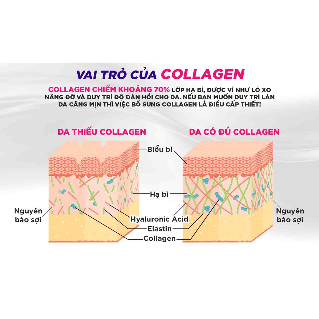 Collagen nước DHC 7000 Plus dưỡng ẩm chống lão hóa BeautiMax