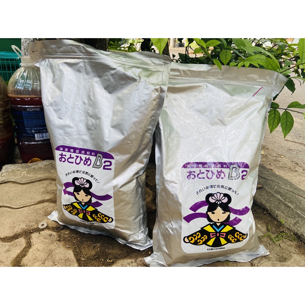 Cám Nhật B2 Chuyên dụng cho cá Guppy,bảy màu và cá cảnh nhỏ hủ 50-10G