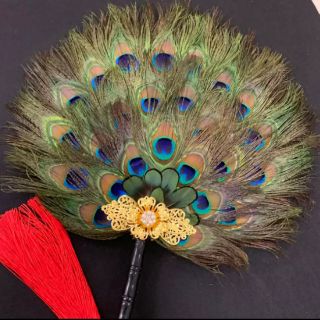 Quạt lông công mẫu lớn