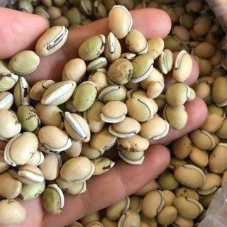 Đậu ván 500g