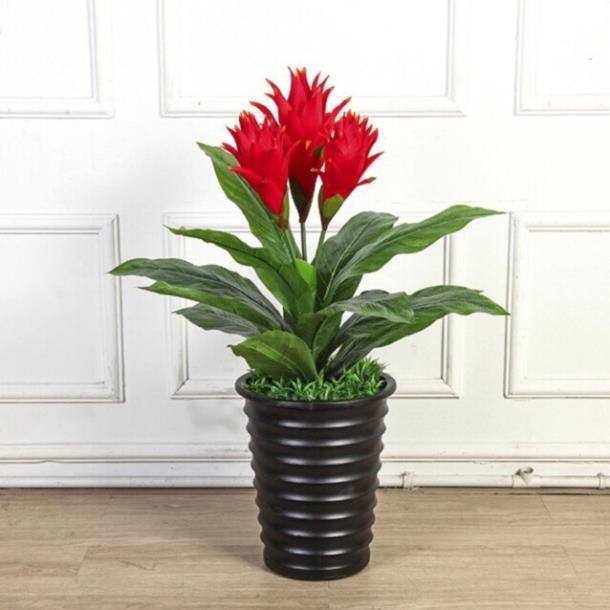 Cây Lan Đuốc giả cảnh 80cm trang trí văn phong,phòng khách