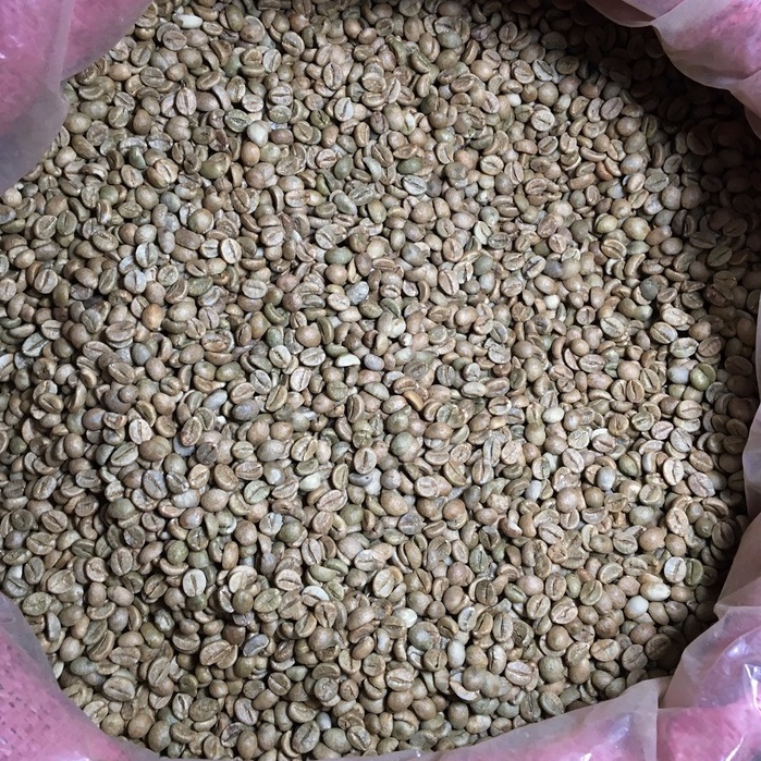 Cà phê Robusta Honey [500g/ 1 túi] - 100% Cà phê mộc rang xay nguyên chất - TBCAFE | BigBuy360 - bigbuy360.vn