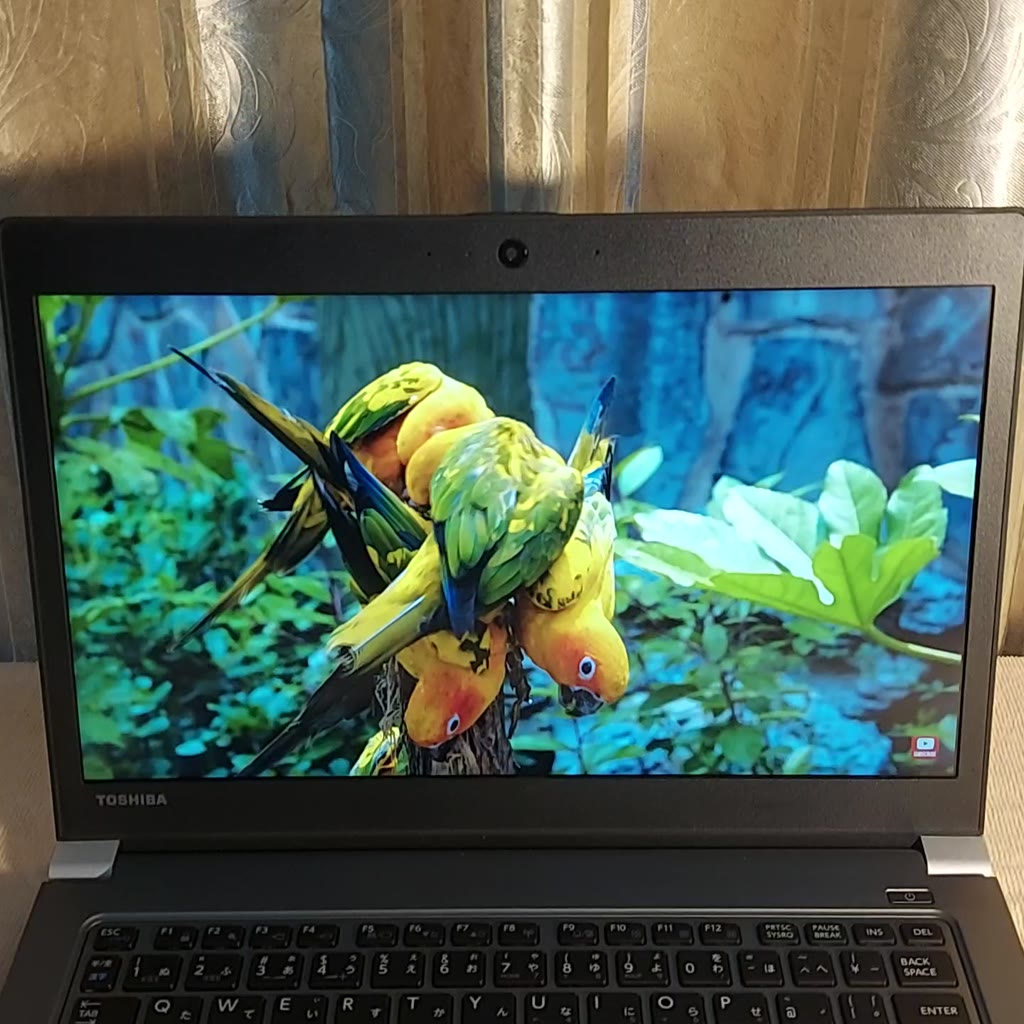 Laptop Toshiba R63/DN i5-8250U 8GB SSD256GB | BigBuy360 - bigbuy360.vn