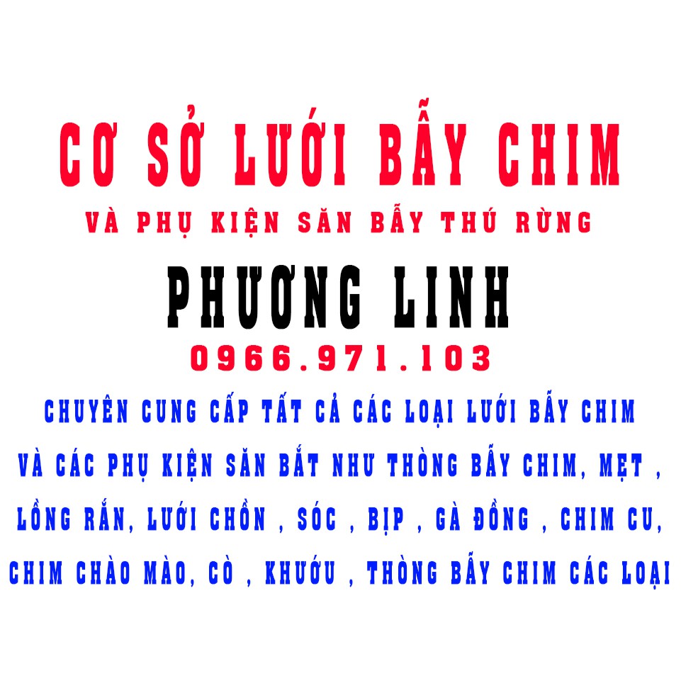 Cơ Sở Lưới Phương Linh
