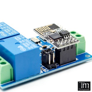 Modul Relay ESP8266 Mini 2 Kênh 5V Cho IOT