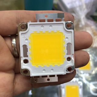 Nhân led 12v 100w
