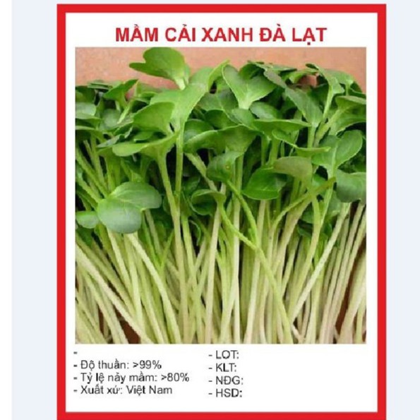 50Gr Hạt Mầm cải xanh Đà Lạt