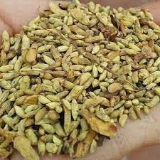 Trà hoa hòe loại 1 - 100g