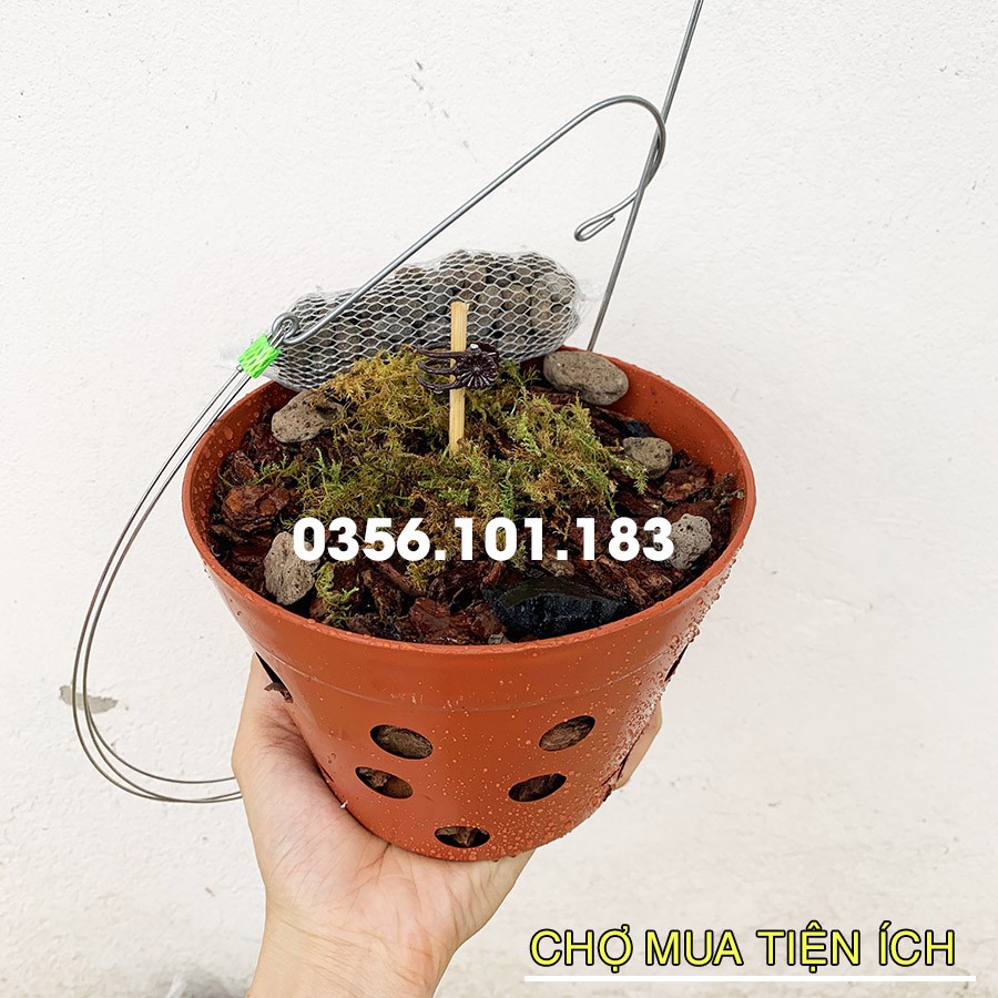 Chậu giá thể trồng lan Fi 17cm  kèm Móc treo Phân Bón