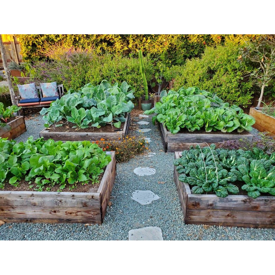 Phân hữu cơ Organic USA gói 1kg