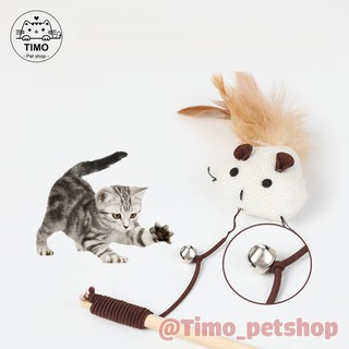 Cây Vợt Mèo
