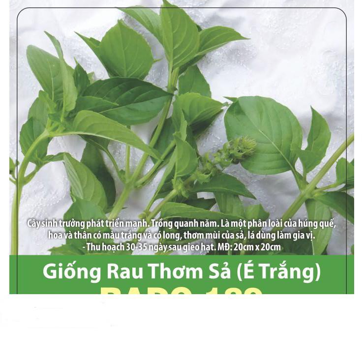 Hạt Giống Rau Thơm Xả (Rau É Trắng) Dễ Trồng, Thơm Ngon 2gr