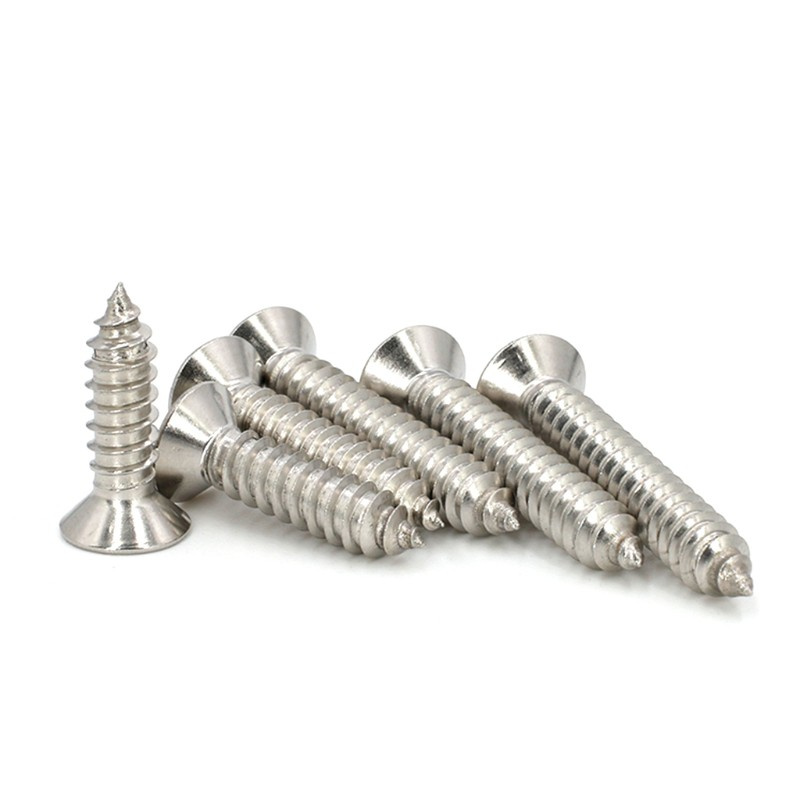 Bộ 800 Ốc Vít M2 Bằng Thép Không Gỉ Chuyên Dụng Cho Khóa Gỗ