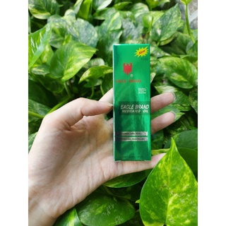 Dầu gió xanh con ó 2 nắp Mỹ (Cam kết hàng chuẩn)