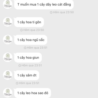 Combo 1 cát đằng ,1 leo sao đỏ,1 tigon,1ngũ sắc,1 cầm cù