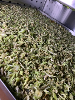 500G BỘT CẦN TÂY NGUYÊN CHẤT