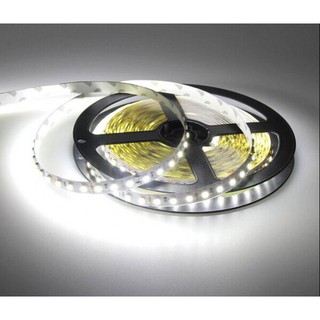 Cuộn Led Dán 5m 2835 Điện 12V ( 240 mắt/m),Led Cuộn 5M,Led Dán 5m