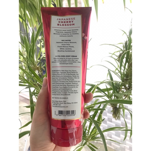 Dưỡng thể dạng kem Japanese Cherry Blossom Ultra Shea -Bath & Body Works  - USA
