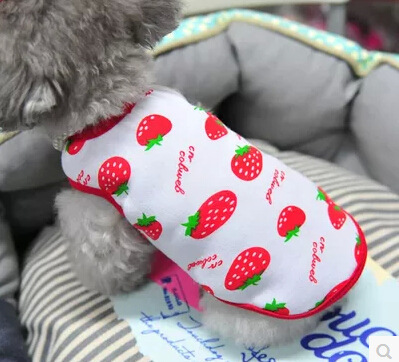 Áo Thun In Hình Dâu Tây Thiết Kế Xinh Xắn Cho Thú Cưng