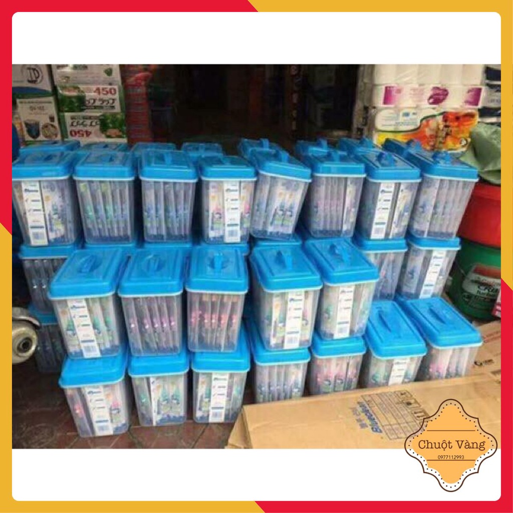 Hộp bàn chải đánh răng Hàn Quốc ( 45 chiếc )
